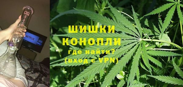 ГАЛЛЮЦИНОГЕННЫЕ ГРИБЫ Белоозёрский