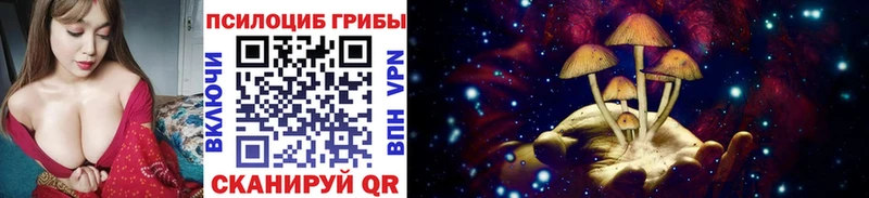 Псилоцибиновые грибы прущие грибы  Купить закладки  Ярцево 